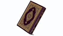 Image 01